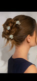 Gold & Pearlized Cream Metal Clam Shell Hair Clip Set